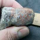 Beautiful Red Dinosaur Bone specimen