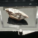 Ternesite thumbnail specimen