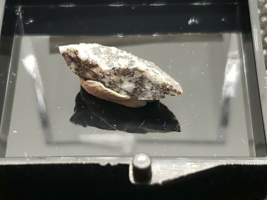 Ternesite thumbnail specimen