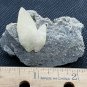 Beautiful Calcite specimen