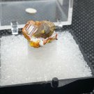 Rare Orpiment specimen thumbnail
