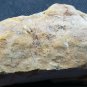 Rare Schoderite specimen