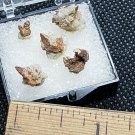 Anatase (rutile included) Crystals Thumbnail Specimen