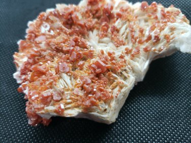 Beautiful Red Vanadinite on Barite specimen
