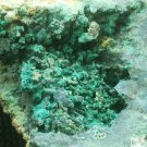 Beautiful Cornwallite Malachite Chalcocite specimen