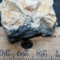 Beautiful Native Tellurium specimen