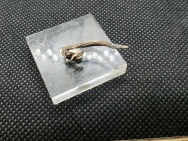 Wire Silver specimen