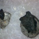 Beautiful Nsutite Thumbnail specimen