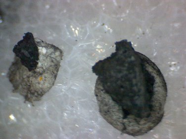 Beautiful Nsutite Thumbnail specimen