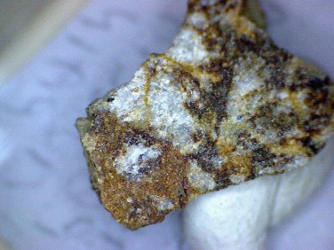 Beautiful Yukonite Thumbnail specimen