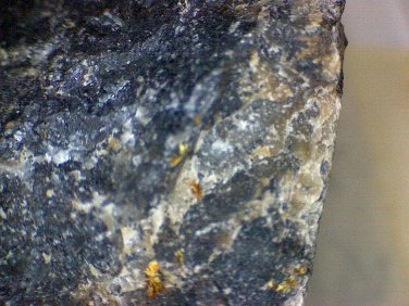 Beautiful Scheuchzerite Thumbnail specimen