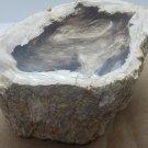 Oregon Petrified Wood no reserve auction!