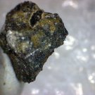 Rare Tschernichite Thumbnail Specimen