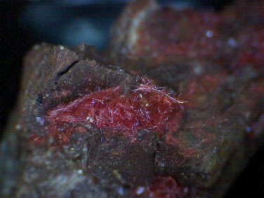 Rare Cuprite var Chalcotrichite specimen