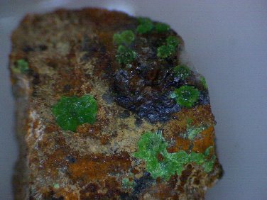 Rare Cuprian Austinite specimen