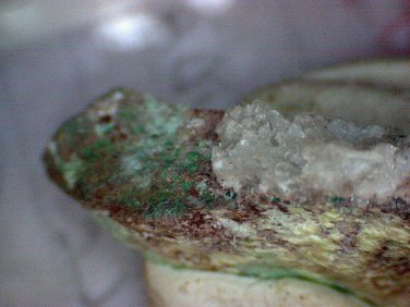 Rare Vendidaite specimen