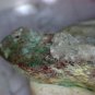 Rare Vendidaite specimen