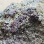 Beautiful Kermesite specimen
