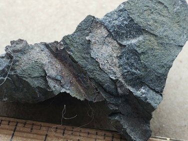 Beautiful Native Silver specimen