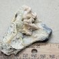 Beautiful Turkey Fat Smithsonite specimen