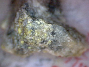 Beautiful Chenevixite Thumbnail specimen
