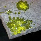 Rare Vesignieite specimen