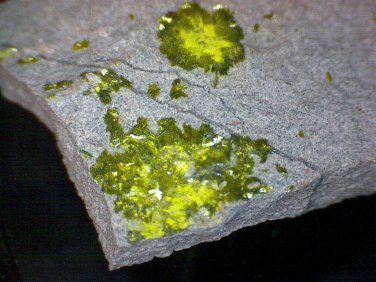 Rare Vesignieite specimen