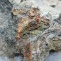 Beautiful Minium with Litharge specimen
