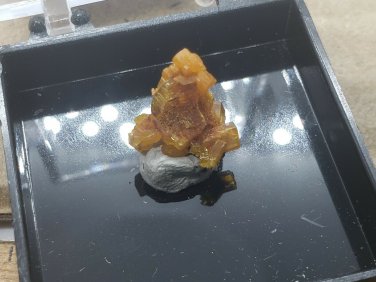 Beautiful Mimetite Thumbnail specimen