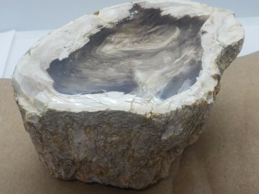 Oregon Petrified Wood