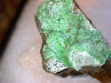 Beautiful Conichalcite specimen