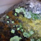 Nice Cuproadamite Specimen