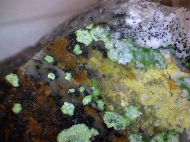 Nice Cuproadamite Specimen