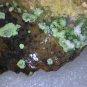 Nice Cuproadamite Specimen