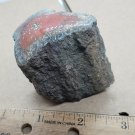 Rare Red Agatized Limbcast specimen