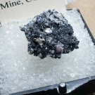 Colorado Rhodochrosite thumbnail Specimen!