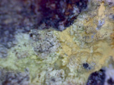 Meurigite K carminite thumbnail Specimen!