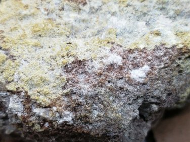 Rare Copiapite Romerite specimen