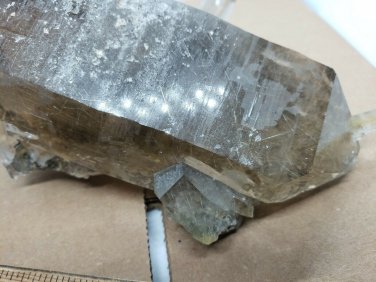 Smoky DT Rutilated Quartz Cluster!