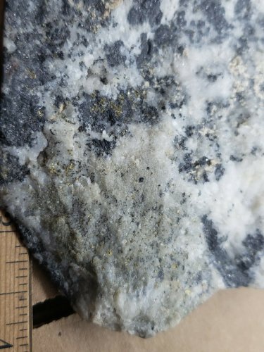 Sunnyside Gold slabbed Specimen