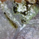 Zinclipscombite lipscombite thumbnail Specimen!