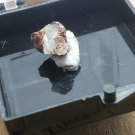 Rankachite thumbnail Specimen!
