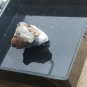 Rankachite thumbnail Specimen!