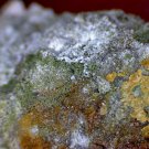 Meurigite K lipscombite thumbnail Specimen!
