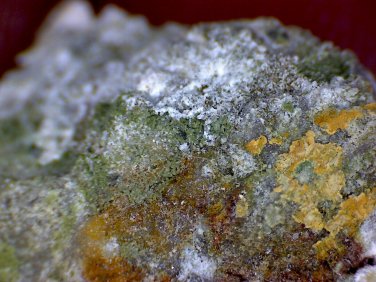 Meurigite K lipscombite thumbnail Specimen!