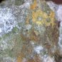 Meurigite K lipscombite thumbnail Specimen!