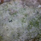 Zinclipscombite lipscombite krasnoite thumbnail Specimen!
