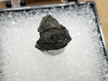 Rare Hauerite Thumbnail Specimen