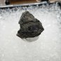 Rare Hauerite Thumbnail Specimen