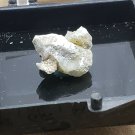 Weloganite Thumbnail Specimen